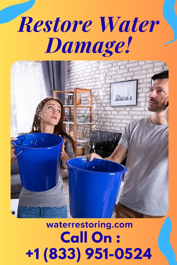 water restoration Eagle Water Damage Specialists Lucky