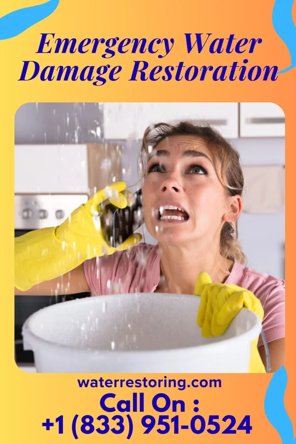 Emergency Water Damage Restoration in Lucky, LA